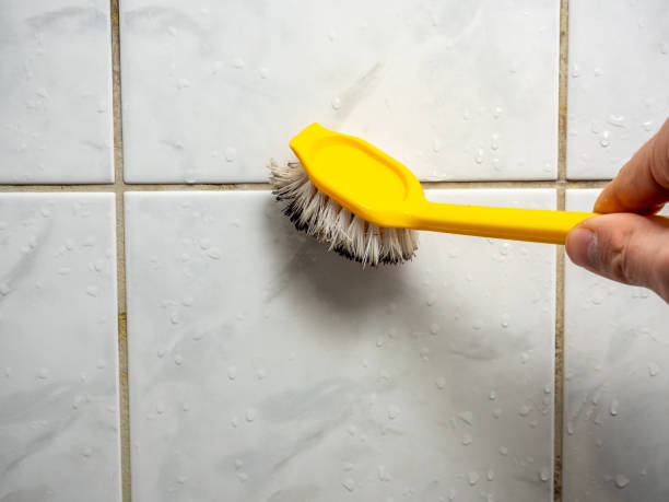 Reliable Gilbertsville, PA Mold Removal Solutions