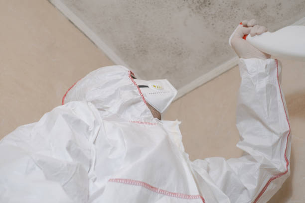 Best Residential Mold Removal  in Gilbertsville, PA