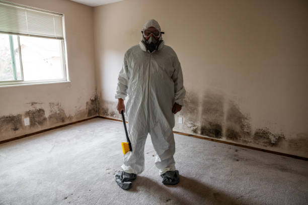 Crawl Space Mold Removal in Gilbertsville, PA